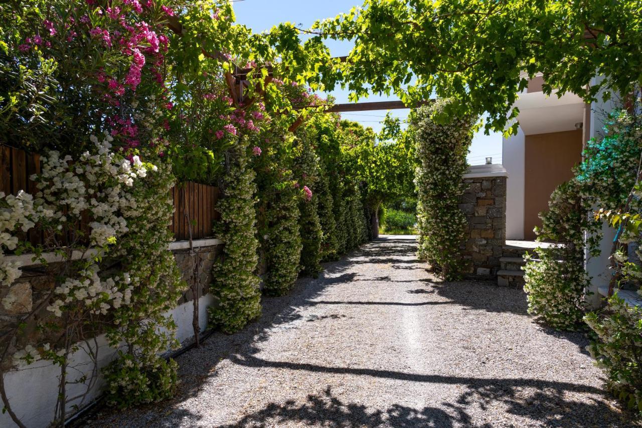 Horizon Line Villas Κιοτάρι Εξωτερικό φωτογραφία