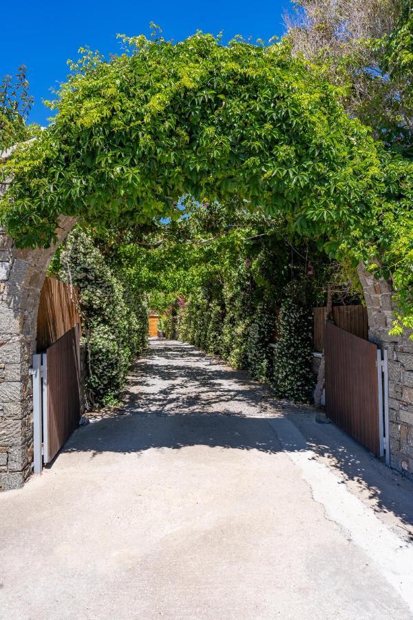 Horizon Line Villas Κιοτάρι Εξωτερικό φωτογραφία